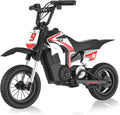 RCB R9X Pro Moto Électrique