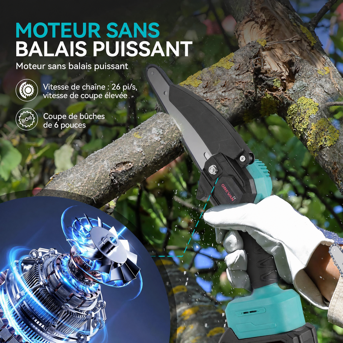 Elagueuse sur perche, 4 en 1 coupe branche 2 batteries 4Ah